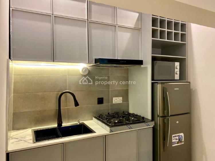 Elysian Well Furnished 1 Bedroom, Lekki Phase 1, Lekki, Lagos, Flat / Apartment Short Let