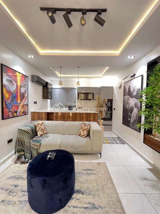 Cozy & Luxury 1 Bedroom Flat, Ikate, Lekki, Lagos, Mini Flat (room and Parlour) Short Let