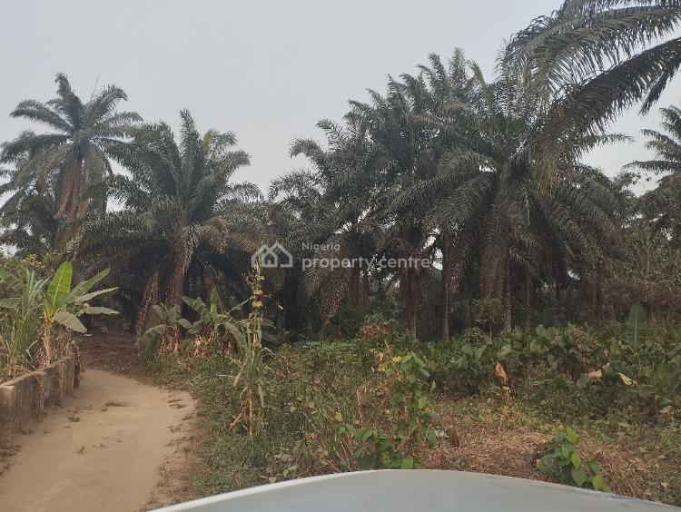 a Strategically Located Hectare of Land with Palm Tree Stands, Ibesikpo, By Air Force School, Uyo, Akwa Ibom, Mixed-use Land for Sale