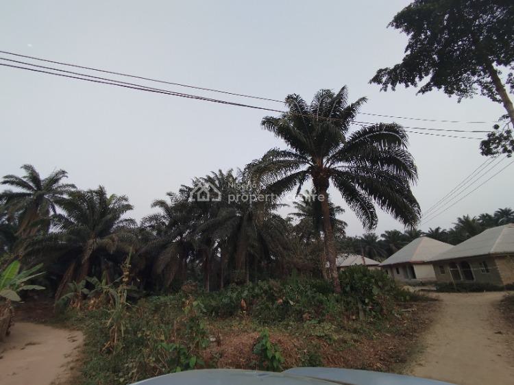 a Strategically Located Hectare of Land with Palm Tree Stands, Ibesikpo, By Air Force School, Uyo, Akwa Ibom, Mixed-use Land for Sale