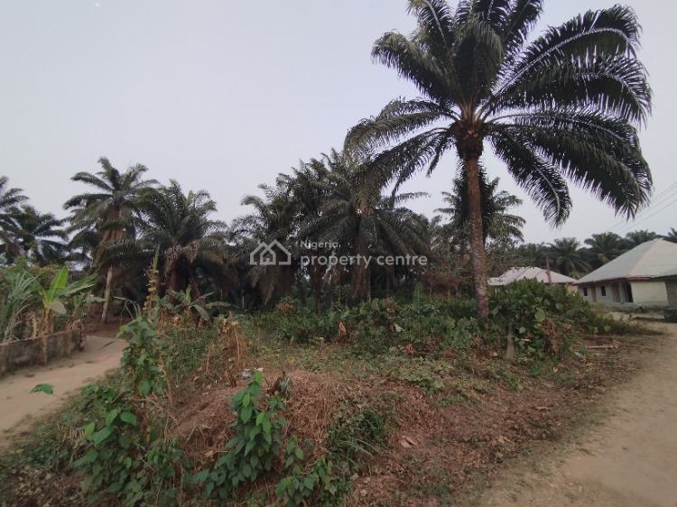 a Strategically Located Hectare of Land with Palm Tree Stands, Ibesikpo, By Air Force School, Uyo, Akwa Ibom, Mixed-use Land for Sale