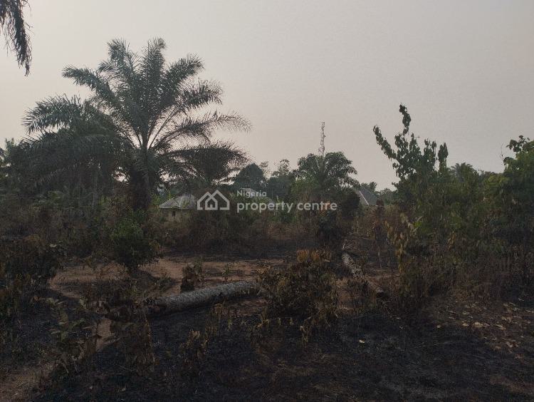 a Strategically Located Hectare of Land with Palm Tree Stands, Ibesikpo, By Air Force School, Uyo, Akwa Ibom, Mixed-use Land for Sale