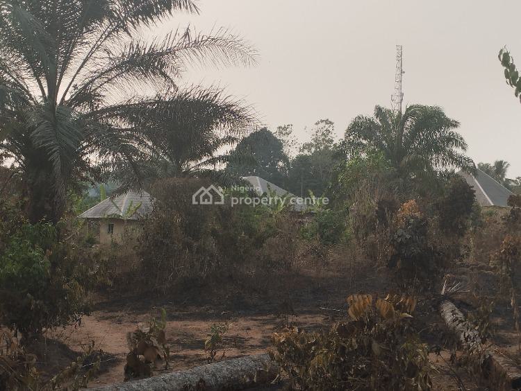 a Strategically Located Hectare of Land with Palm Tree Stands, Ibesikpo, By Air Force School, Uyo, Akwa Ibom, Mixed-use Land for Sale