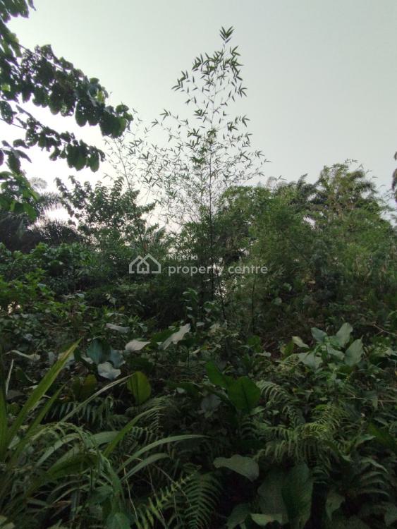 a Strategically Located Hectare of Land with Palm Tree Stands, Ibesikpo, By Air Force School, Uyo, Akwa Ibom, Mixed-use Land for Sale