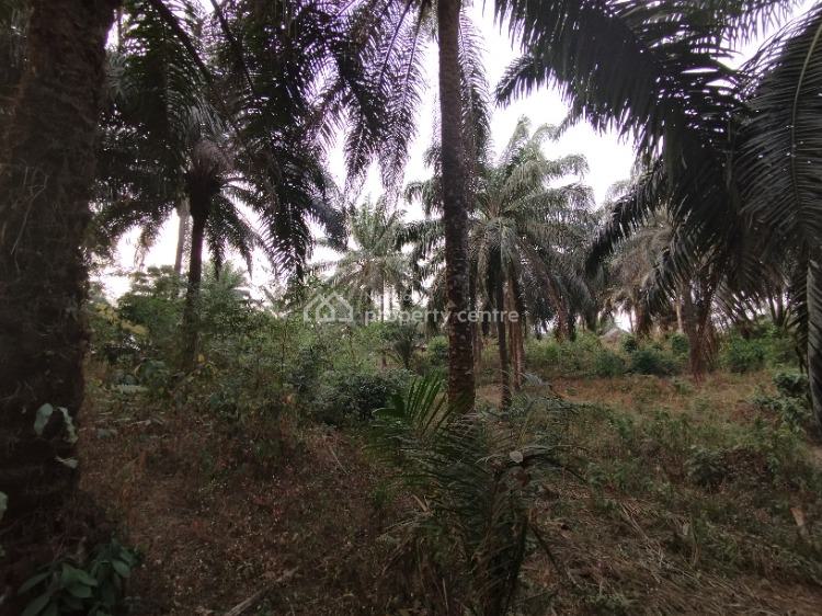 a Strategically Located Hectare of Land with Palm Tree Stands, Ibesikpo, By Air Force School, Uyo, Akwa Ibom, Mixed-use Land for Sale