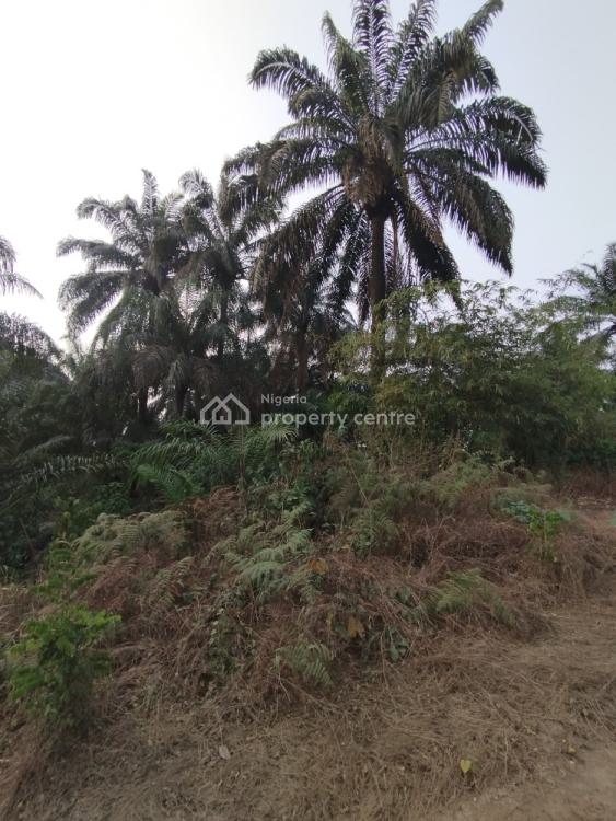 a Strategically Located Hectare of Land with Palm Tree Stands, Ibesikpo, By Air Force School, Uyo, Akwa Ibom, Mixed-use Land for Sale