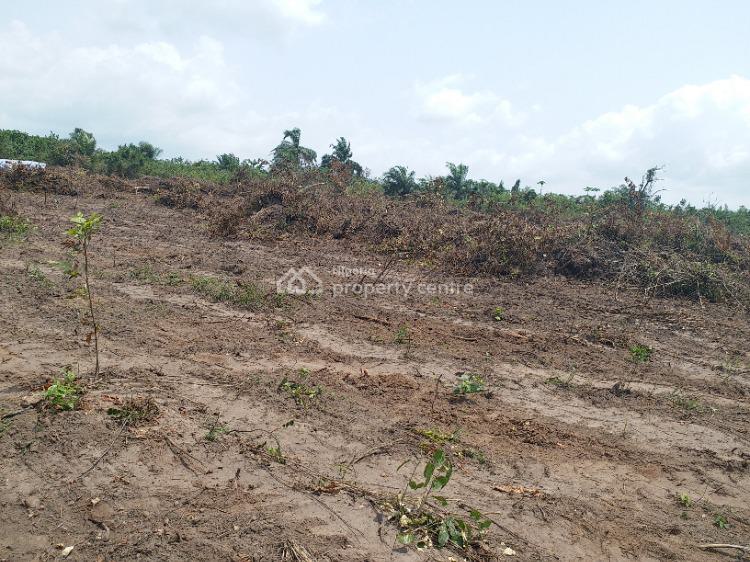 For Sale Invest Here Earn 50 Roi In December 2024, Ore (green City