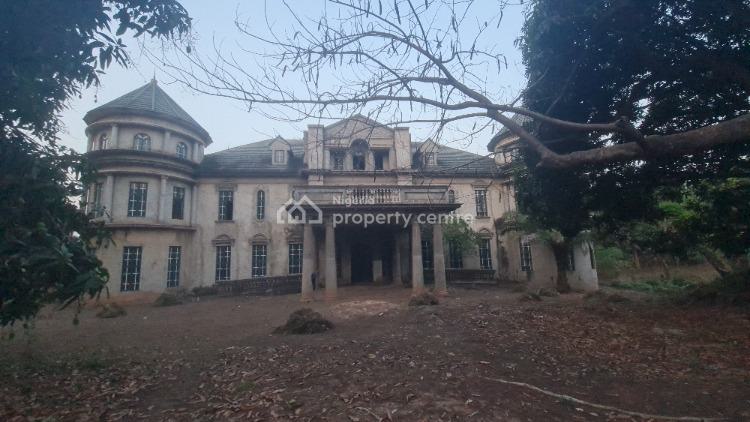 Castle Developed on 10,000sqm of Land with C of O, Ochima Crescent Off Nza Street, Independence Layout, Enugu, Enugu, Detached Duplex for Sale