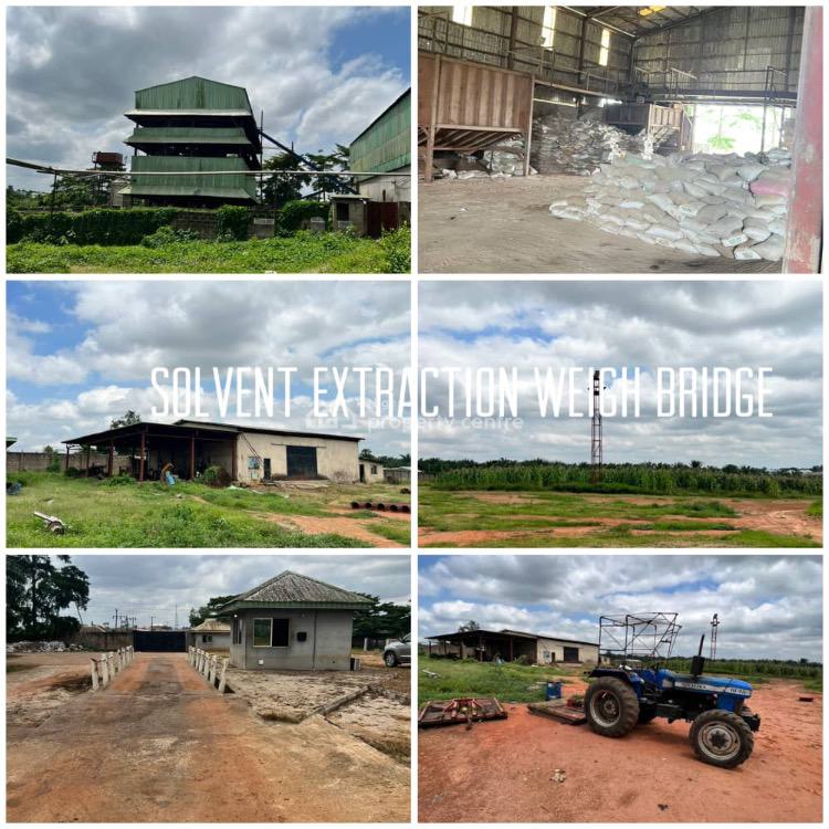 Vegetable Oil Factory and Palm Kernel Plantation, Sango Ota, Ogun, Factory for Sale
