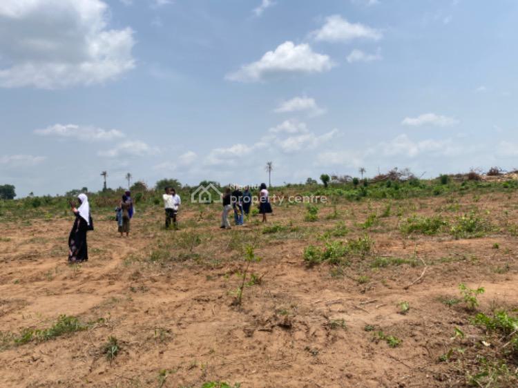 For Sale C Of O Land Directly Facing The Ibadanabeokuta Expressway