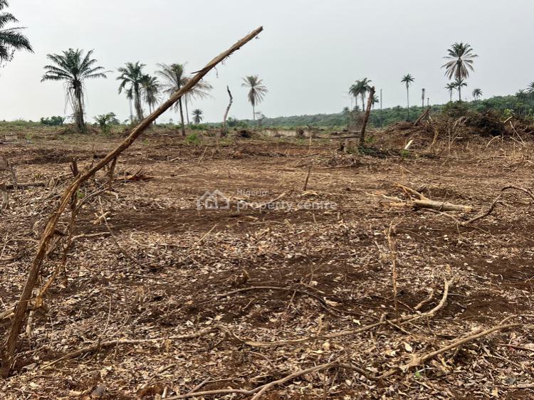 Land, Placid Crest, Ketu, Epe, Lagos, Residential Land for Sale