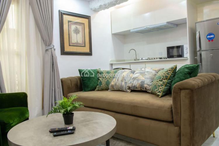 1 Bedroom Luxurious Apartment, Lekki Phase 1, Lekki, Lagos, Flat / Apartment Short Let