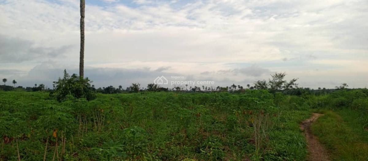 The Most Cheapest Farmland, Green Wealth Farm Land Is 10 Minutes Drive From Epe Toll Gate, Epe, Lagos, Land for Sale