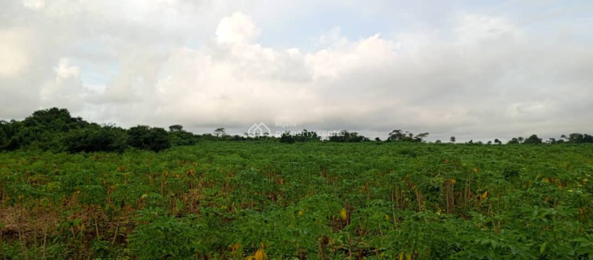 The Most Cheapest Farmland, Green Wealth Farm Land Is 10 Minutes Drive From Epe Toll Gate, Epe, Lagos, Land for Sale
