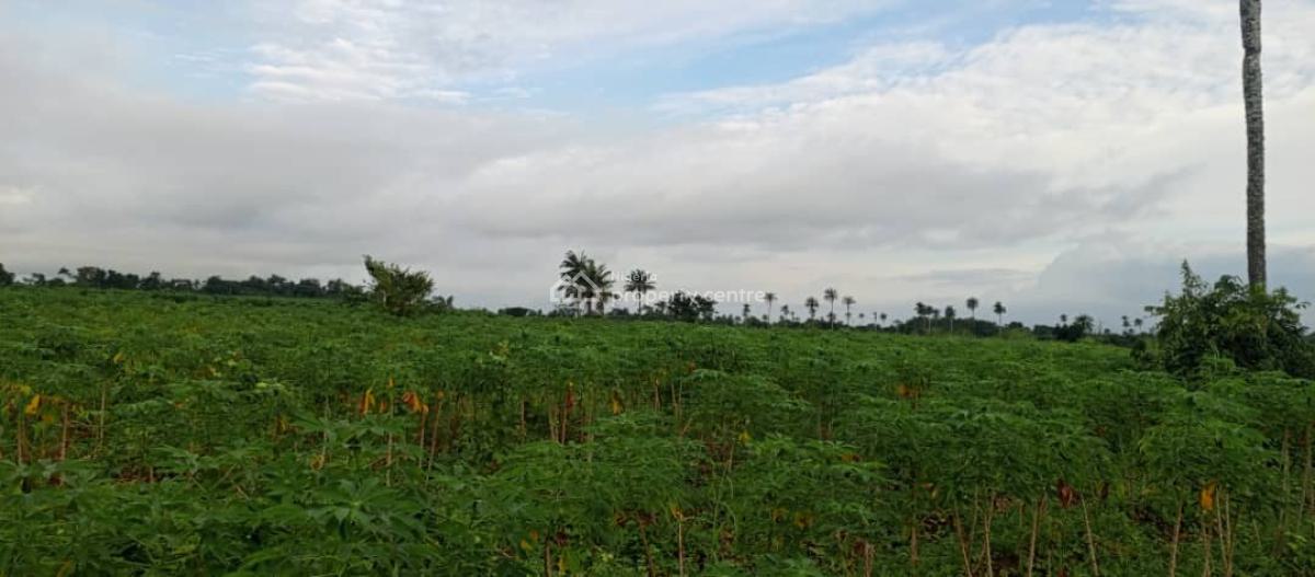 The Most Cheapest Farmland, Green Wealth Farm Land Is 10 Minutes Drive From Epe Toll Gate, Epe, Lagos, Land for Sale