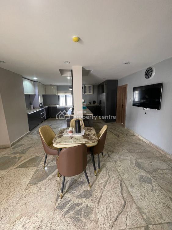 Fully Furnished 5 Bedroom Detached Spacious Duplex with Bq, Asokoro By Navy Town., Asokoro District, Abuja, Detached Duplex for Rent