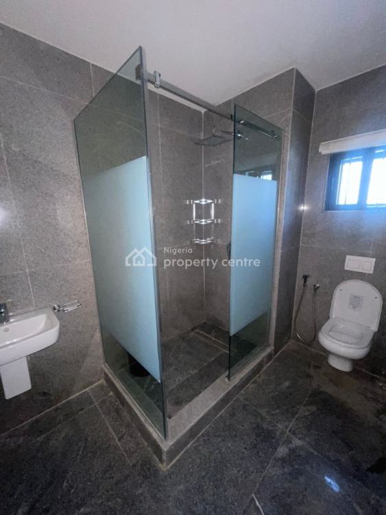 Fully Furnished 5 Bedroom Detached Spacious Duplex with Bq, Asokoro By Navy Town., Asokoro District, Abuja, Detached Duplex for Rent