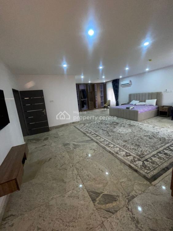 Fully Furnished 5 Bedroom Detached Spacious Duplex with Bq, Asokoro By Navy Town., Asokoro District, Abuja, Detached Duplex for Rent