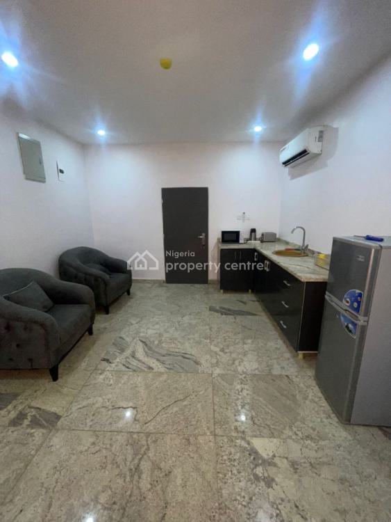 Fully Furnished 5 Bedroom Detached Spacious Duplex with Bq, Asokoro By Navy Town., Asokoro District, Abuja, Detached Duplex for Rent