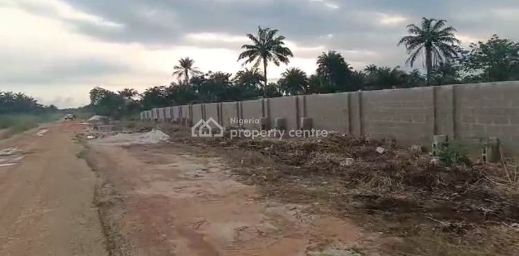 Fenced 100% Table Land Directly Facing Express Road Road, Futo Junction to Ilile Road. ,obinze, New Owerri Layout., Owerri Municipal, Imo, Mixed-use Land for Sale