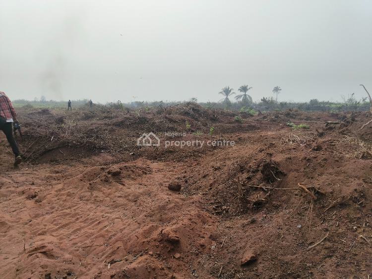 Fenced 100% Table Land Directly Facing Express Road Road, Futo Junction to Ilile Road. ,obinze, New Owerri Layout., Owerri Municipal, Imo, Mixed-use Land for Sale