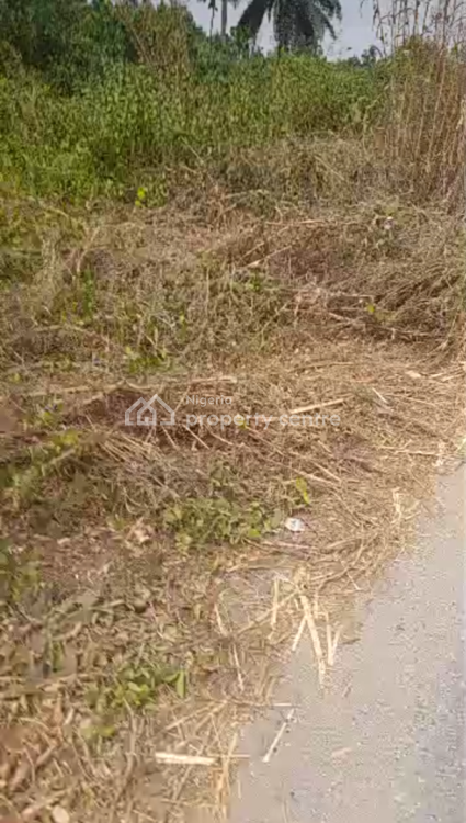 500 Plots of Land, Facing The Express Abia State Aba, Abia Gods Own Stste Akpa, Azunmiri, Constantly 🚨 Every Day, Aba, Abia, Residential Land for Sale