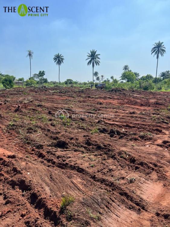 For Sale A Buy And Build Land, Ubulu Okiti , The Ascent Prime City