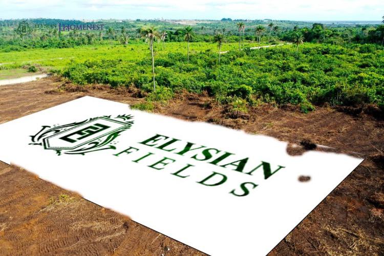 For Sale Affordable Buy And Build Dry Land, Elysian Field Esate Ketu
