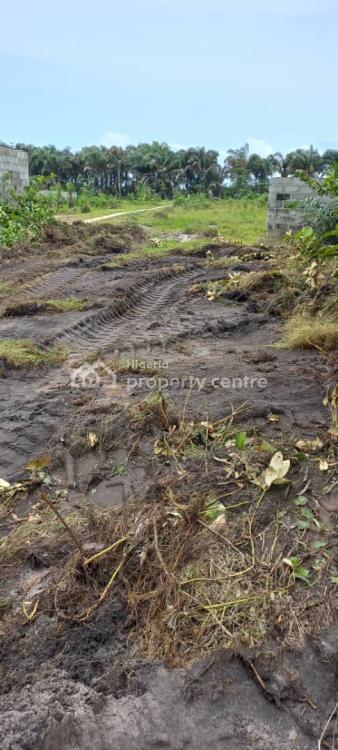 Deed of Assignment and Survey, Dominion Estate, Ibeju Lekki, Lagos, Mixed-use Land for Sale