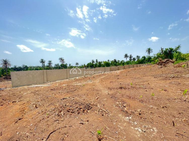 For Sale Most Affordable Land Opportunity With High Returns, Placid