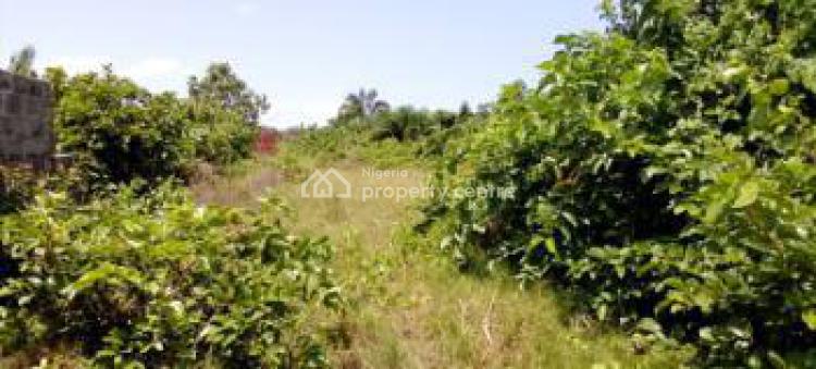 Vacant Plots of Land, Monastery Road, Sangotedo, Ajah, Lagos, Mixed-use Land for Sale
