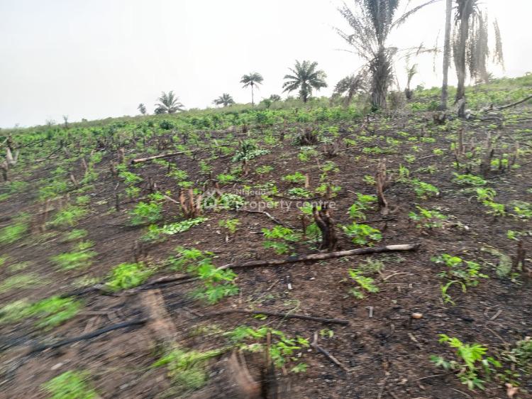 For Sale Farm Land, Great Wealth City Isiwo By Toll Gate, Epe, Lagos