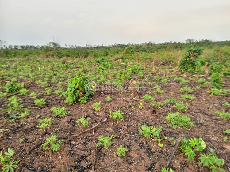 For Sale Farm Land, Great Wealth City Isiwo By Toll Gate, Epe, Lagos