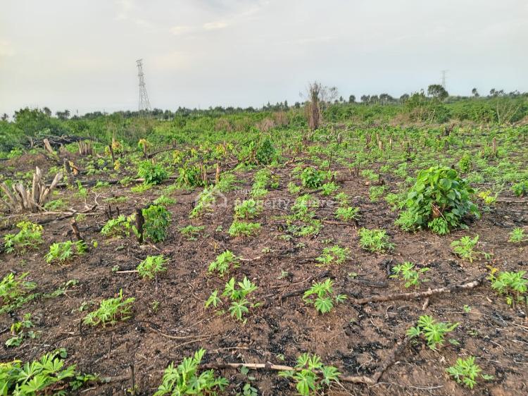 Farm Land, Great Wealth City Isiwo By Toll Gate, Epe, Lagos, Land for Sale