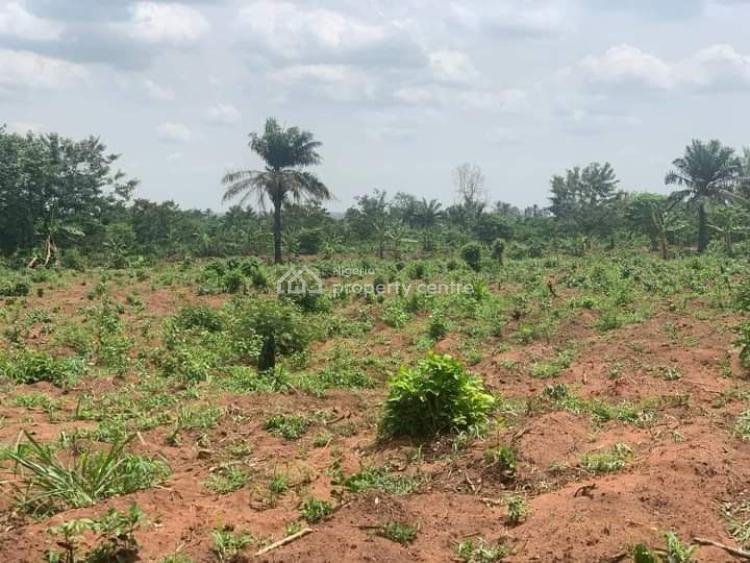 For Sale Premium Land With Accessible Road, Heroes Path Estate Via