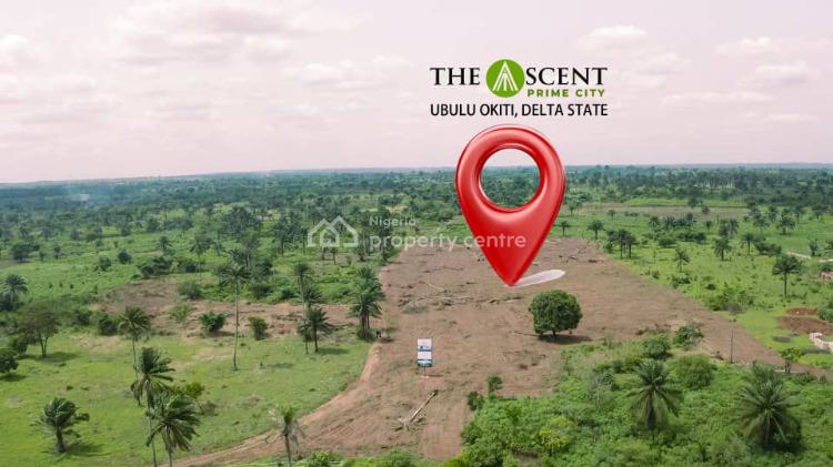 Land, Ubulu Okiti, Asaba, Delta, Mixed-use Land for Sale