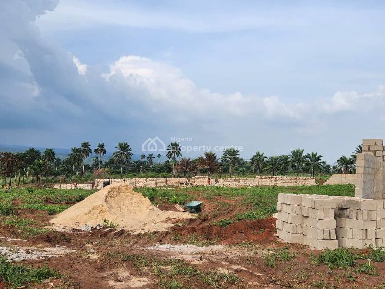 Lands with C of O, Asaba Benin Expressway, Asaba, Delta, Mixed-use Land for Sale