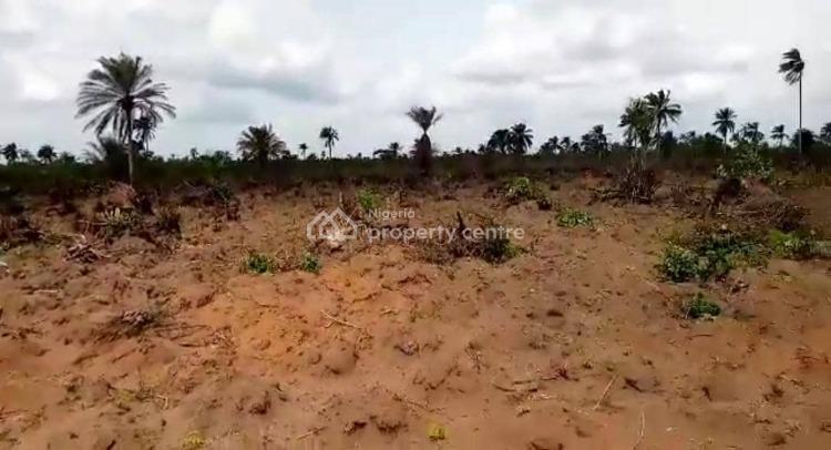Affordable and Accessible Road Network, Charisma Garden Estate, Ogbor Hills, Aba, Abia, Residential Land for Sale