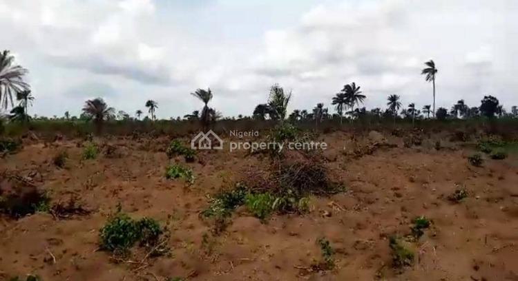 Affordable and Accessible Road Network, Charisma Garden Estate, Ogbor Hills, Aba, Abia, Residential Land for Sale