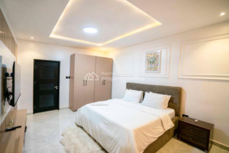 Luxurious 2 Bedroom Furnished Apartment, Freedom Way, Lekki Phase 1, Lekki, Lagos, Flat / Apartment for Rent