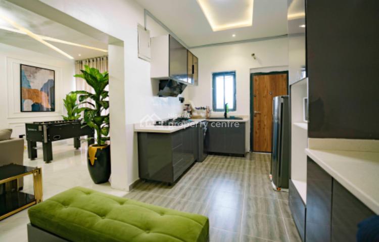 Luxurious 2 Bedroom Furnished Apartment, Freedom Way, Lekki Phase 1, Lekki, Lagos, Flat / Apartment for Rent