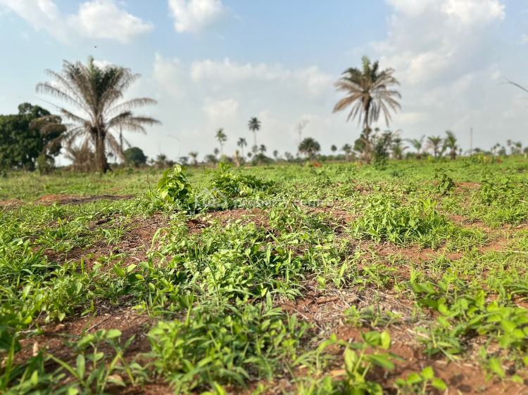 For Sale Affordable Land With Accessible Road Network Facing The