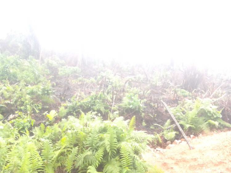 For Sale Affordable Free Hold Land In A Prime Estate, Bright City