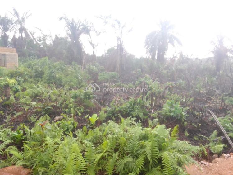 For Sale Affordable Free Hold Land In A Prime Estate, Bright City