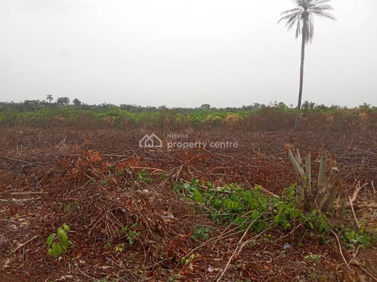 For Sale Affordable Land In A Good Location, Harmony Haven City Igboye