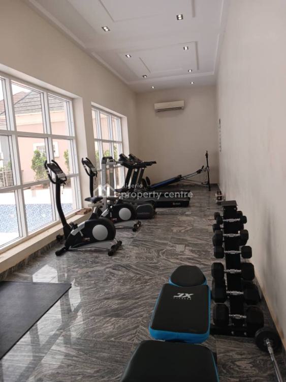 Expatriates Home: 4 Bedroom Terrace Duplex with Bq, Asokoro District, Abuja, Terraced Duplex for Rent