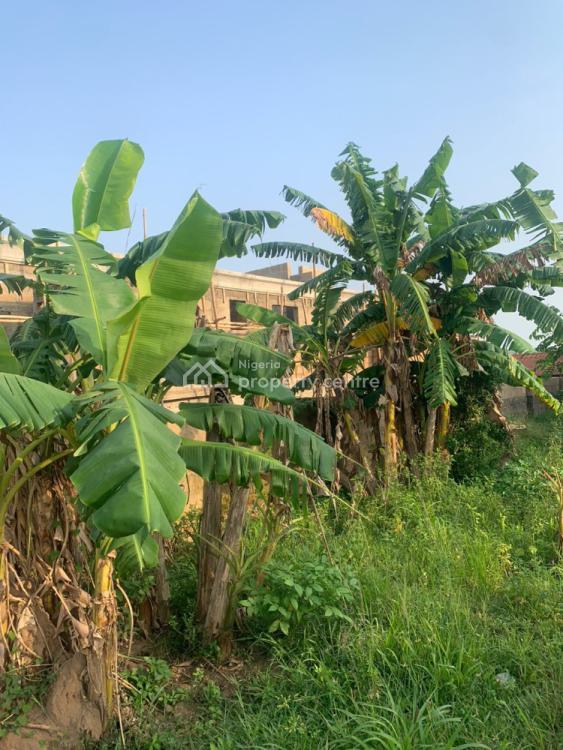Urgent Land, Agbede, Agric, Ikorodu, Lagos, Residential Land for Sale