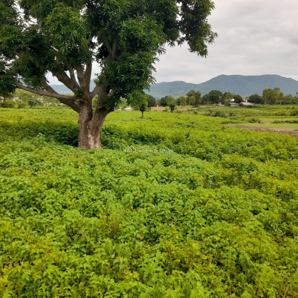 1 Hectare Residential Estate Plot, Almat Farms Street, Kuje, Abuja, Residential Land for Sale