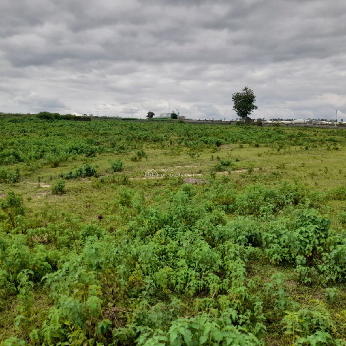 1 Hectare Residential Estate Plot, Almat Farms Street, Kuje, Abuja, Residential Land for Sale