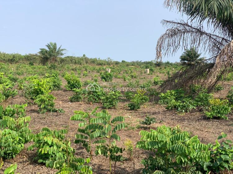 Estate with Accessible Road, Epe Club Estate, Epe, Lagos, Land for Sale